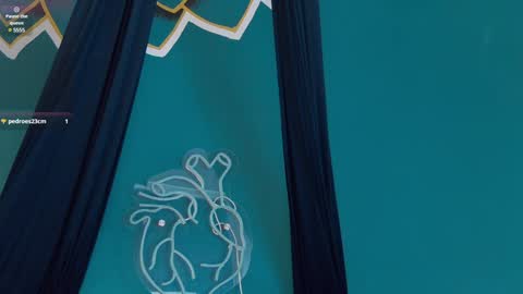 Melany online show from 22, 1, 2025