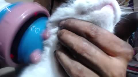 melany online show from 6, 11, 2025