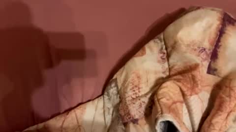 Snapshot of melissa9040 chatting on 9, 2, 2026 melissa9040 online show from 9, 2, 2026