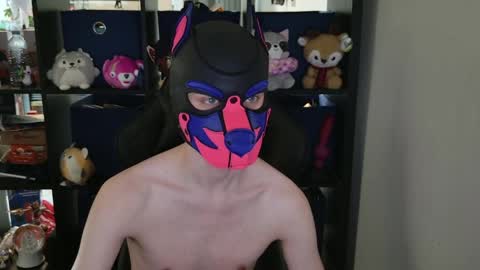 Snapshot of mellpup chatting on 29, 4, 2026 MellPUP online show from 29, 4, 2026
