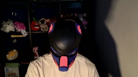 Snapshot of mellpup chatting on 18, 6, 2026 MellPUP online show from 18, 6, 2026