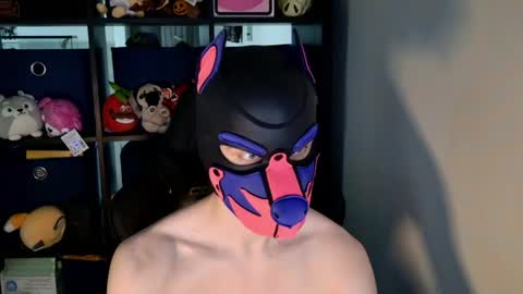 Snapshot of mellpup chatting on 20, 6, 2026 MellPUP online show from 20, 6, 2026