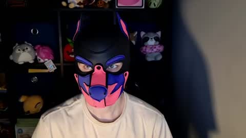 Snapshot of mellpup chatting on 22, 6, 2026 MellPUP online show from 22, 6, 2026