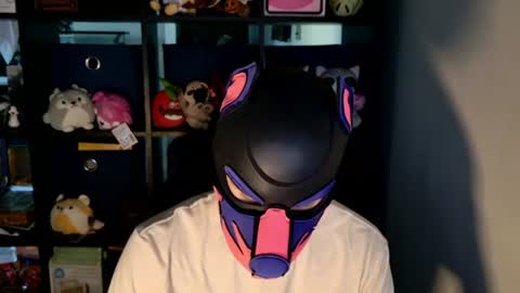 Snapshot of mellpup chatting on 23, 6, 2026 MellPUP online show from 23, 6, 2026