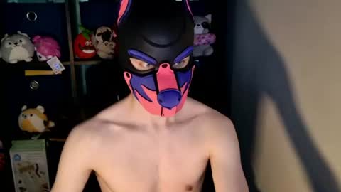 Snapshot of mellpup chatting on 24, 6, 2026 MellPUP online show from 24, 6, 2026