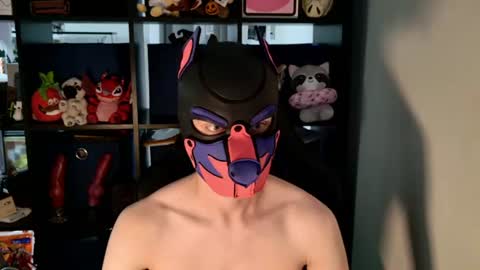Snapshot of mellpup chatting on 14, 7, 2026 MellPUP online show from 14, 7, 2026
