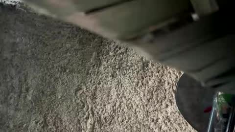 melodysnow online show from 9, 1, 2026