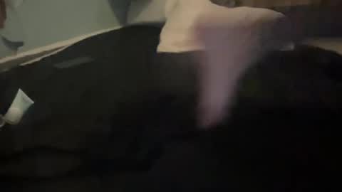 melt13 online show from 13, 10, 2025