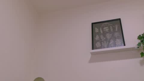  Memphis Williams  online show from 30, 3, 2026