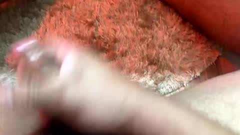 Toro loco online show from 14, 2, 2026