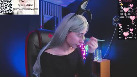  Meo  online show from 12, 2, 2026