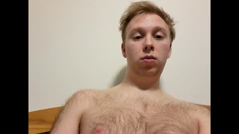 meow732 online show from 14, 12, 2025