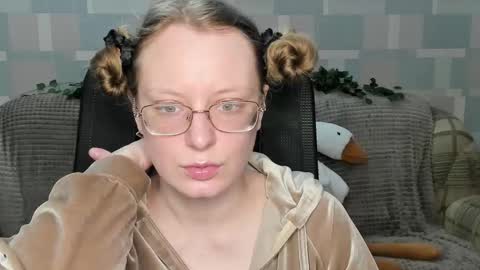 meowcr online show from 13, 12, 2025