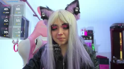 meowmelf online show from 13, 1, 2026