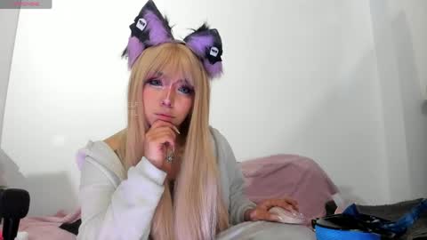 meowmelf online show from 27, 5, 2026