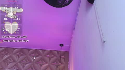 Snapshot of meraki_fraise chatting on 23, 11, 2025 online show from 23, 11, 2025