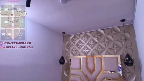 Snapshot of meraki_fraise chatting on 20, 12, 2025 online show from 20, 12, 2025