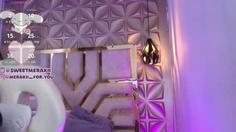 Snapshot of meraki_fraise chatting on 2, 2, 2026 online show from 2, 2, 2026