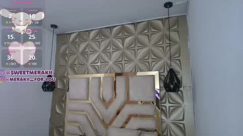 Snapshot of meraki_fraise chatting on 8, 2, 2026 online show from 8, 2, 2026