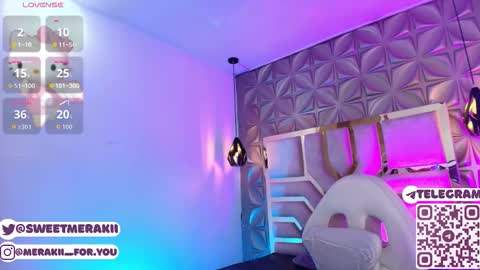 Snapshot of meraki_fraise chatting on 2, 3, 2026 online show from 2, 3, 2026