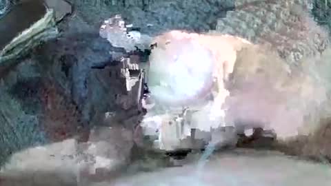 Snapshot of mexianthehawk chatting on 3, 11, 2025 mexianthehawk online show from 3, 11, 2025