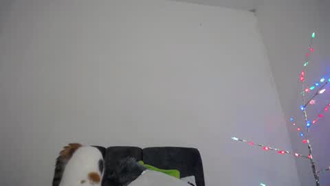 M I A online show from 18, 12, 2025