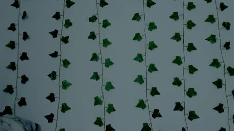 MIA online show from 10, 11, 2025