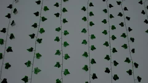 MIA online show from 20, 12, 2025