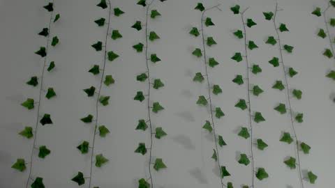 MIA online show from 3, 2, 2026