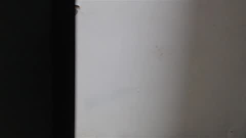 Mia Sepulveda online show from 22, 1, 2025