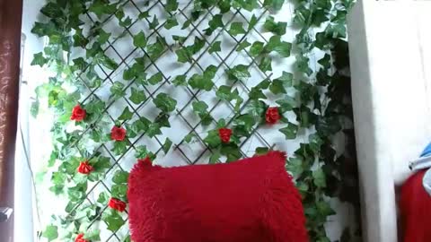 Snapshot of mia_squirt_big chatting on 6, 12, 2024 Mia squirt big INDEPENDENT MODEL...ONLYFANS online show from 6, 12, 2024