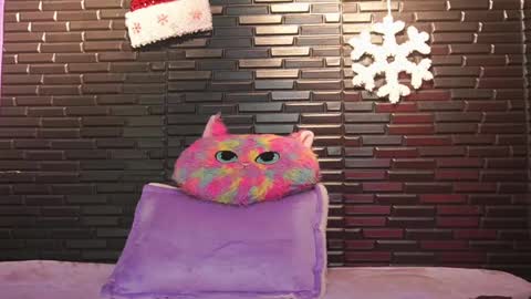 Mia online show from 7, 12, 2024