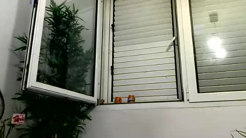 Snapshot of mich6921 chatting on 28, 6, 2026 MILO MIAMI online show from 28, 6, 2026