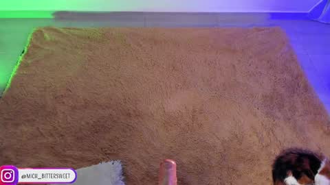 Snapshot of mich_bittersweet chatting on 29, 1, 2025         online show from 29, 1, 2025