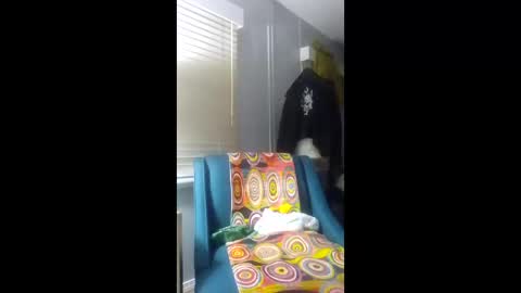 micropenisman69 online show from 21, 2, 2026