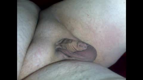 micropimmel online show from 30, 1, 2025