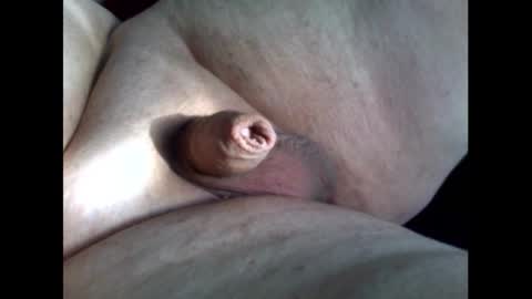 micropimmel online show from 11, 9, 2025