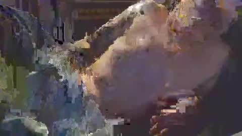 Snapshot of middle123456783939 chatting on 11, 9, 2025 middle123456783939 online show from 11, 9, 2025