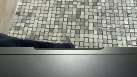 Snapshot of midwestassassin chatting on 11, 2, 2026 midwestassassin online show from 11, 2, 2026