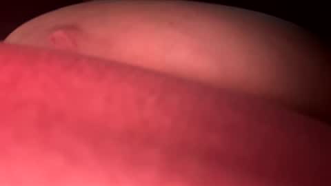 BBW-Gem online show from 8, 5, 2026