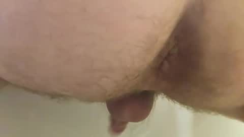 Bearforall online show from 30, 11, 2025