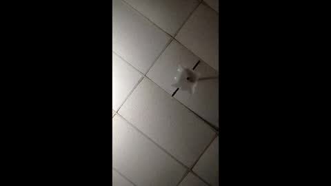 miloanj online show from 7, 11, 2025