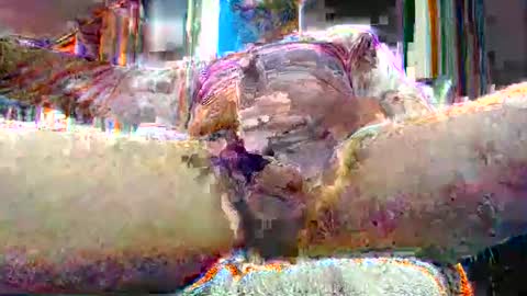 Snapshot of miltronik chatting on 17, 12, 2024 TOM online show from 17, 12, 2024