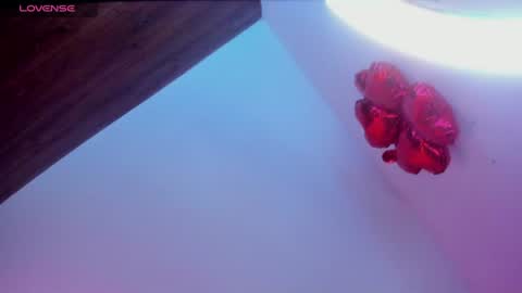 Snapshot of minami_nakamura chatting on 27, 6, 2026 minami_nakamura online show from 27, 6, 2026