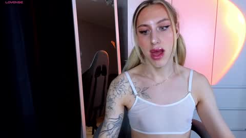 Snapshot of miraraid chatting on 17, 12, 2024 miraraid online show from 17, 12, 2024