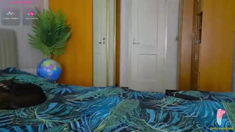 Laura online show from 2, 12, 2025