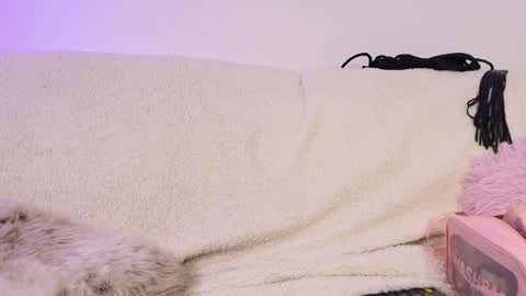 miss_sophia21 online show from 18, 2, 2026