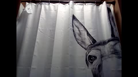 MissEeva online show from 5, 12, 2024