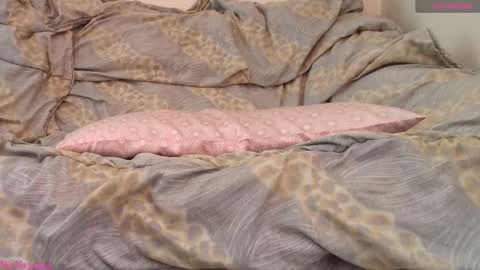 Snapshot of missmagnetizm chatting on 19, 2, 2026 Vi online show from 19, 2, 2026