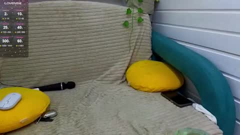 . online show from 17, 10, 2025